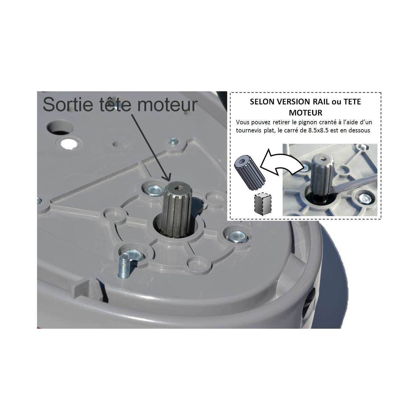 Motorisation ONE 1000 D