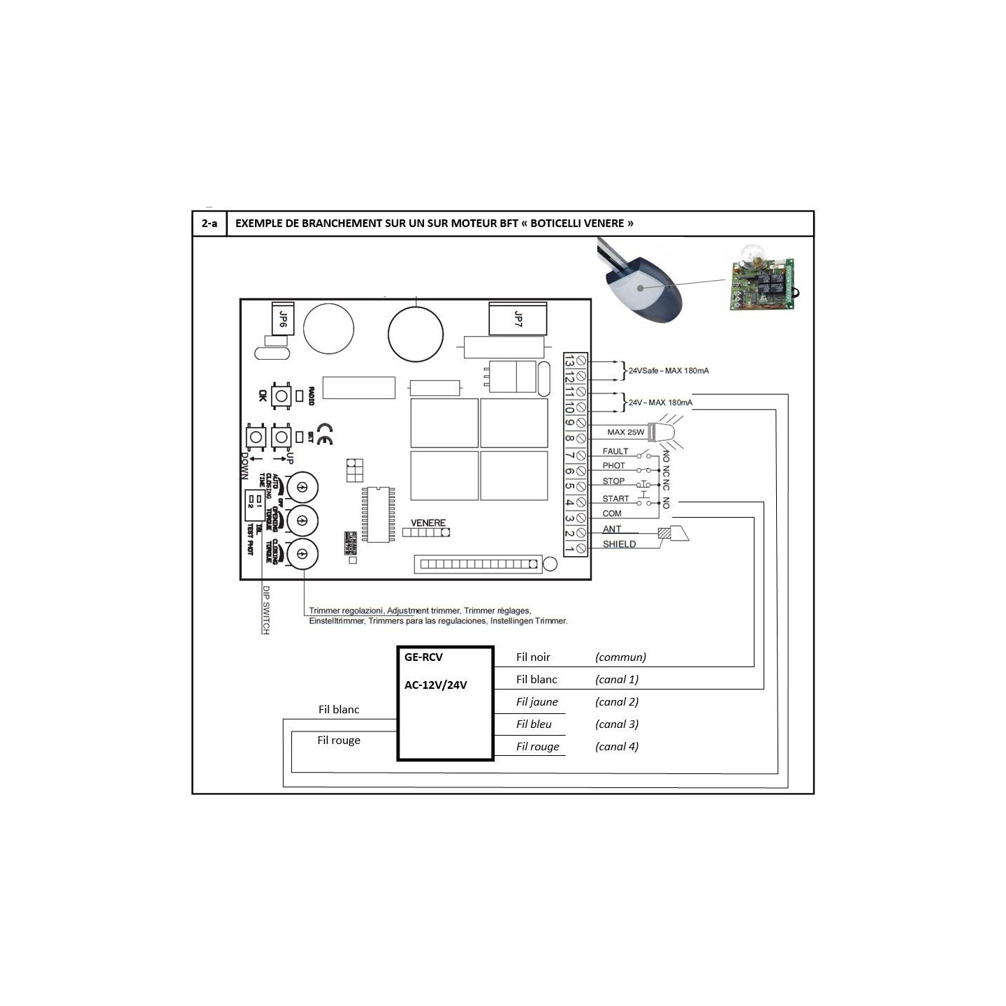 4 canaux sur BFT BOTICELLI VENERE.JPG